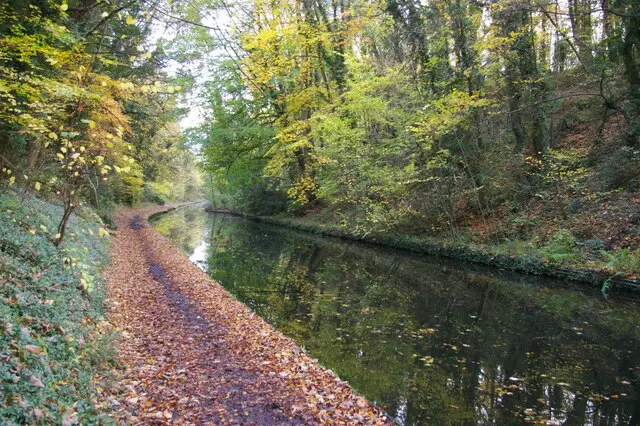 Brewood Walks, Staffordshire