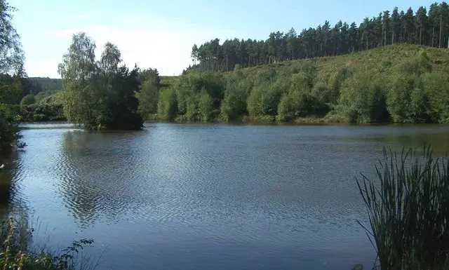 Cannock Chase Walks, Staffordshire