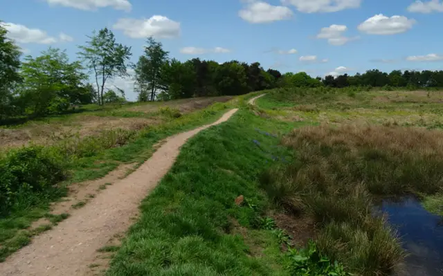 Castle Ring Walks, Staffordshire