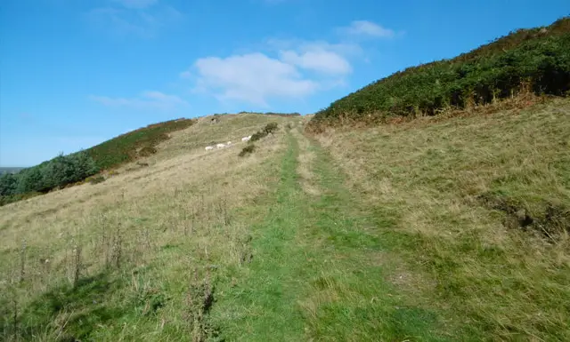 Danebridge Walks, Staffordshire
