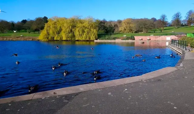 Dartmouth Park Walks, Staffordshire