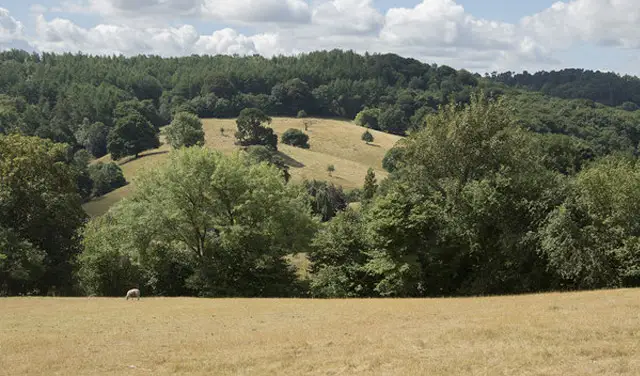 Dimmingsdale Valley Walk and Map, Staffordshire