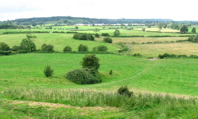 Hanbury walk, Staffordshire