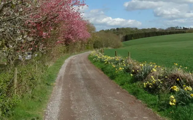 Hanchurch Hills Walks, Staffordshire