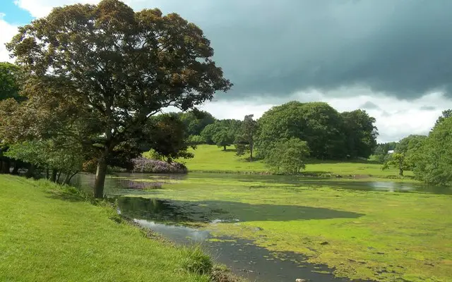 Osmaston Walks, Staffordshire