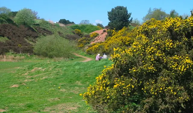 Park Hall Country Park Walk and Map, Staffordshire