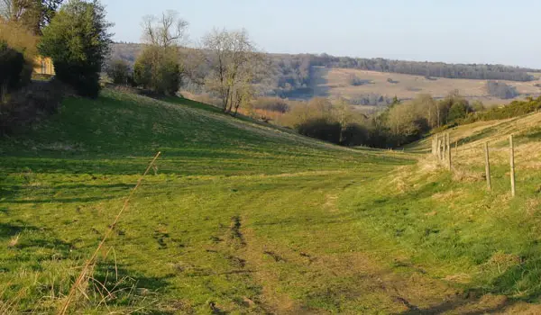 Abinger Hammer Walks, Surrey