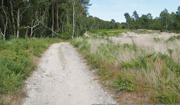 Albury Bottom Walk, Surrey