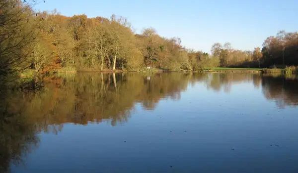Ashtead Common Walks, Surrey