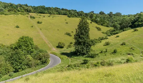 Box Hill Walks, Surrey