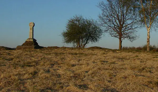 Chobham Common walk, Surrey