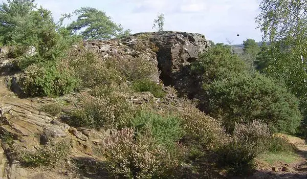 Churt Common Walk, Surrey