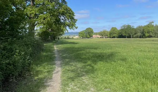 Cranleigh Walk, Surrey