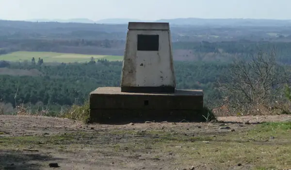Crooksbury Hill Walk, Surrey
