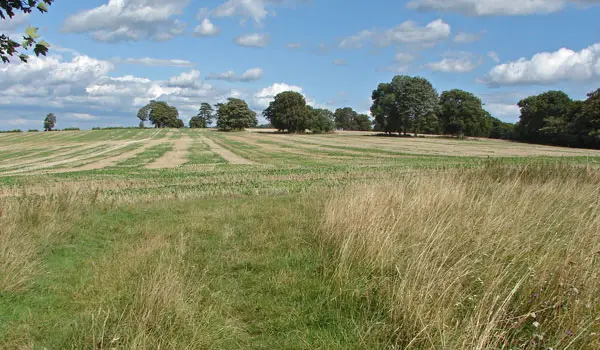 East Clandon Walk, Surrey