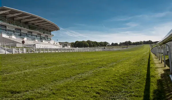 Epsom Downs Walks, Surrey