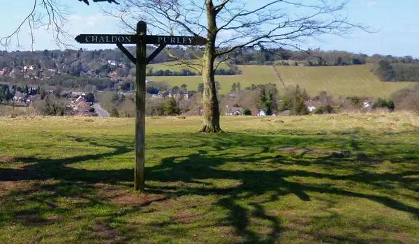 Farthing Downs Walk, Surrey