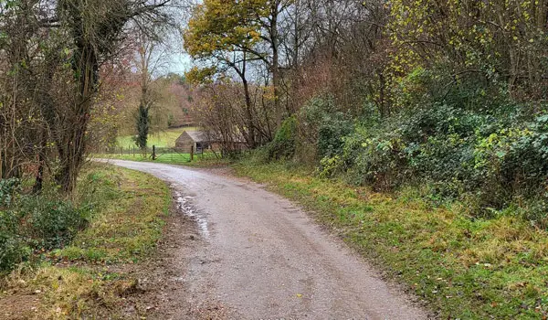 Fetcham Downs Walks, Surrey