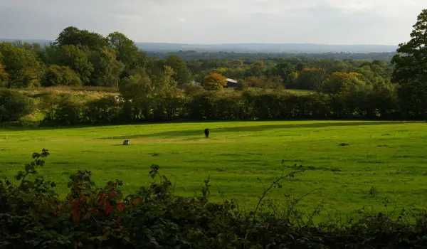 Godstone walk, Surrey