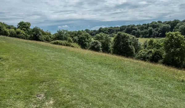 Happy Valley Walks, Surrey