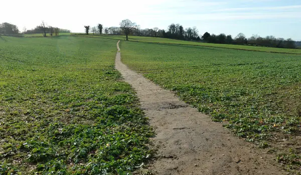 Hascombe Walks, Surrey