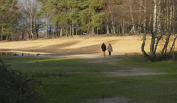 Horsell Common Walks, Surrey