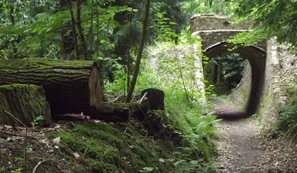 Horsley Walks, Surrey