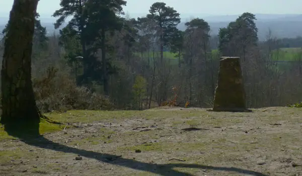 Hydon Heath Walk, Surrey