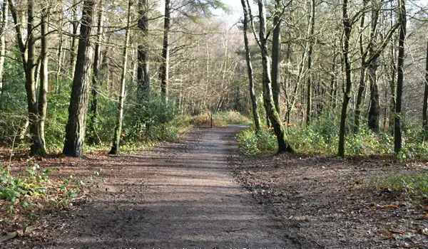 Limpsfield Chart Walk, Surrey