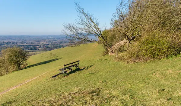 Margery Wood Walks, Surrey