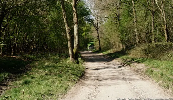 Norbury Park Walks, Surrey