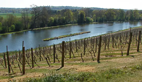 Painshill Park Walk, Surrey