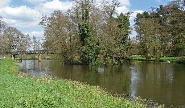 Papercourt Lake Walks, Surrey