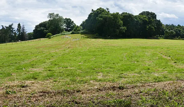 Pirbright Walks, Surrey