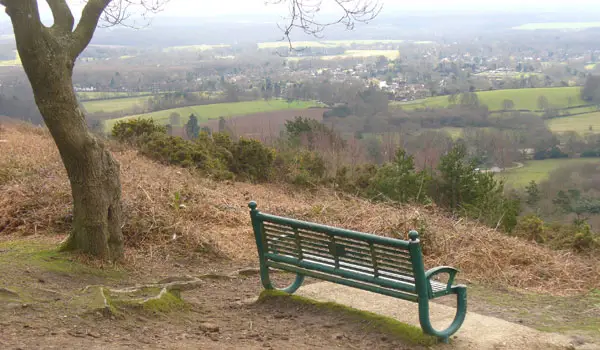 Pitch Hill Walk, Surrey