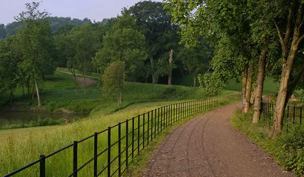 Reigate Hill Walk, Surrey