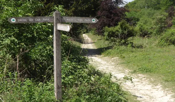 Sheepleas Walks, Surrey