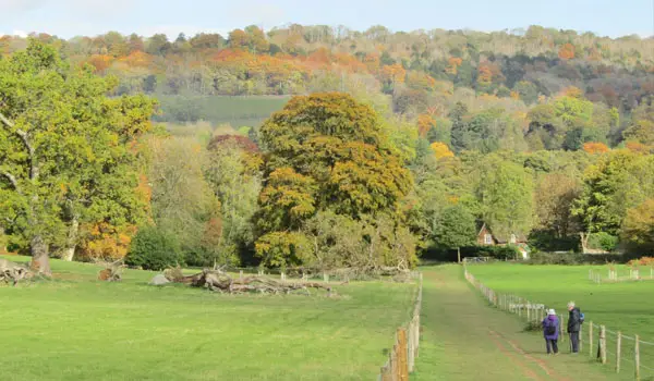 Shere Walks, Surrey
