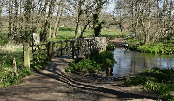 Tilford Walks, Surrey