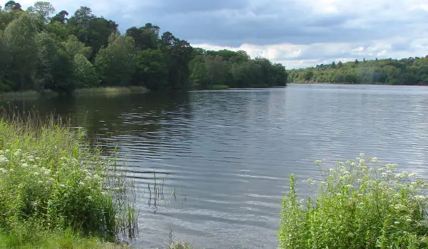 Virginia Water Walk, Surrey
