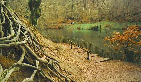 Waggoners Wells Walk, Surrey