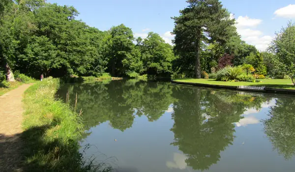 Weybridge Walks, Surrey