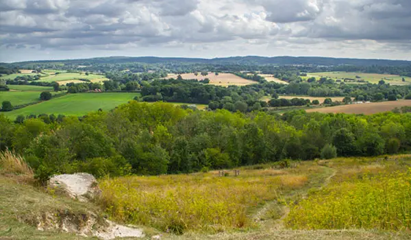 The White Downs Walks, Surrey