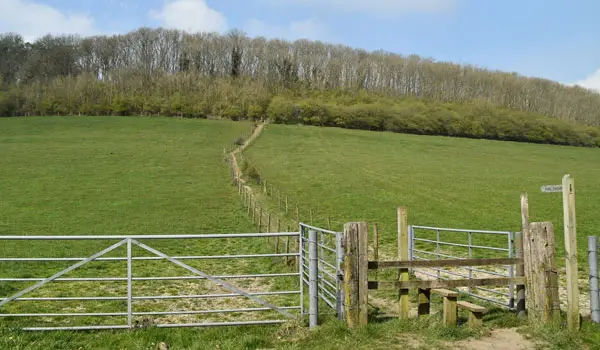 Woldingham Walks, Surrey