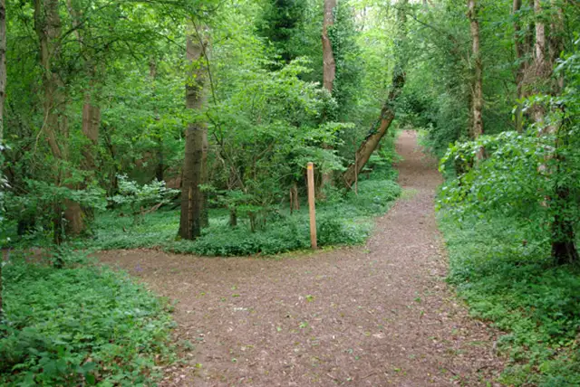 Angmering Park Walks, Sussex