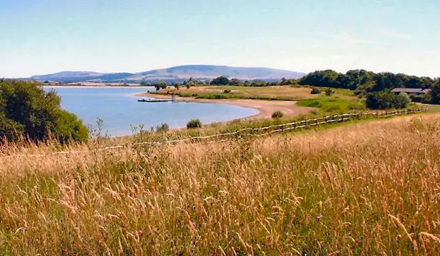 Arlington Reservoir Walks, Sussex