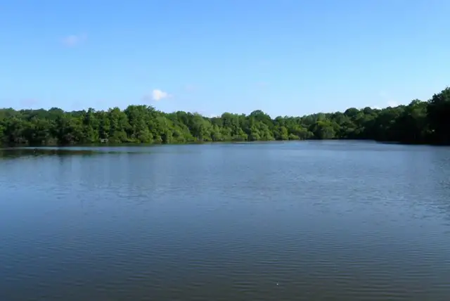 Balcombe walk, Sussex