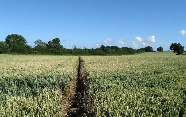 Barcombe Cross Walks, Sussex
