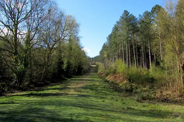 Battle Walks, Sussex