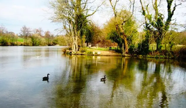 Bedelands Walk, Sussex